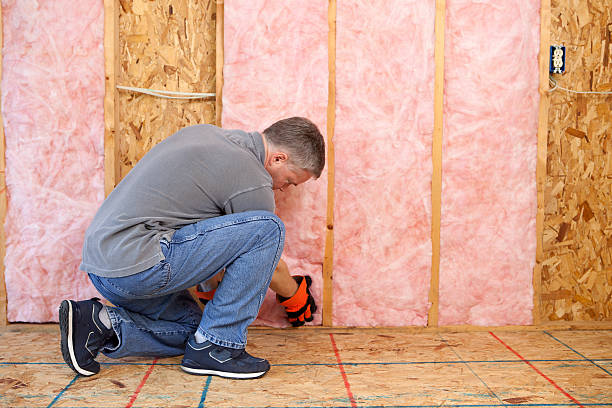 Best Insulation for New Construction  in Clearwater, KS